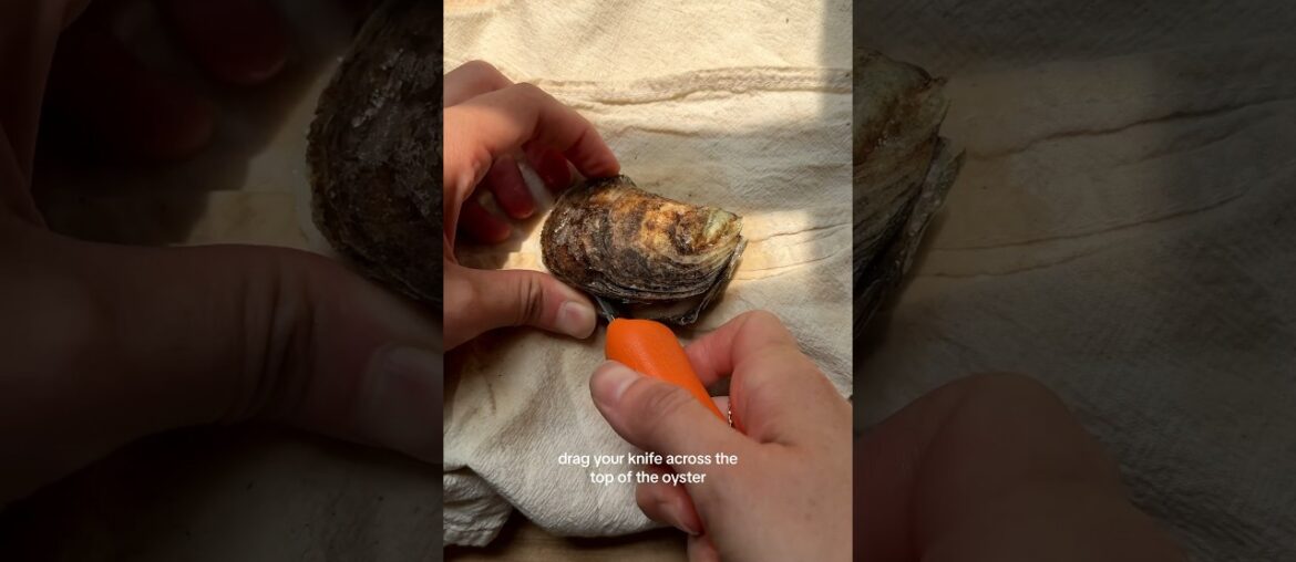 How to shuck an oyster!