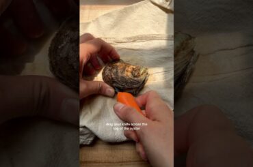 How to shuck an oyster!