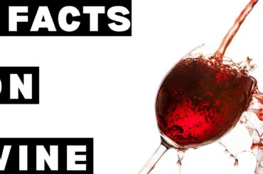 [ENG/FR SUB] 3 myths about wine . Learn French with Wine.