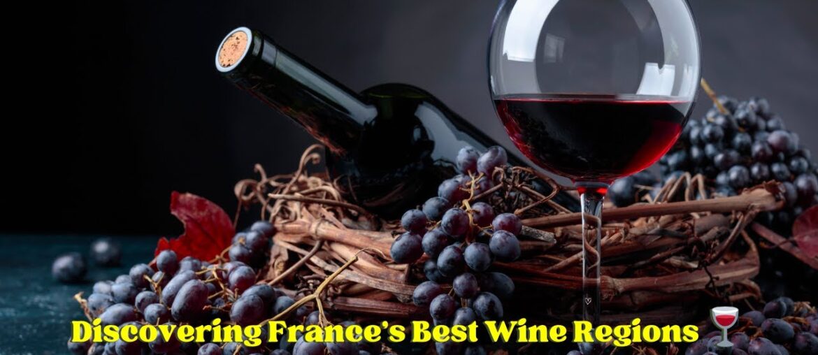 Discovering France's Best Wine Regions