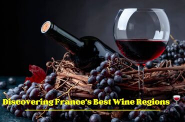 Discovering France's Best Wine Regions