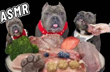 Dog Mukbang ASMR French fighting dog skin sister eats ostrich parts #dog #asmr #eatinsounds #food