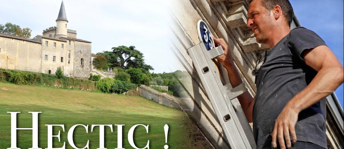 Surviving The Madness: A Day in the Life of Anna & Edd!