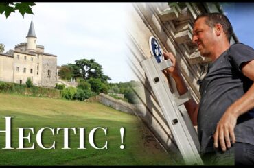 Surviving The Madness: A Day in the Life of Anna & Edd!