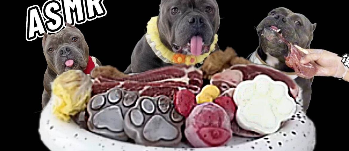 Dog Mukbang ASMR  French Bulldog eats giant black tiger shrimp for the first time. #asmr #pets #dog