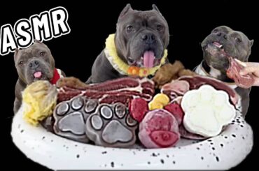 Dog Mukbang ASMR  French Bulldog eats giant black tiger shrimp for the first time. #asmr #pets #dog