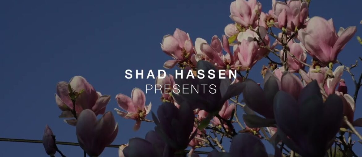 51 John Street, Petersham 51 John Street, Petersham