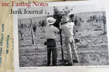 Wine Tasting Notes Junk Journal Flip Through; a Repurposed Vintage French Book Cover