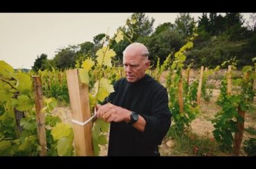 Wine is more than a drink in France | Journey to Paris