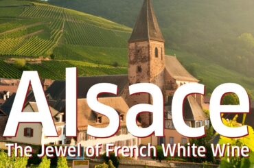 Alsace Wine Region: The Jewel of French White Wine