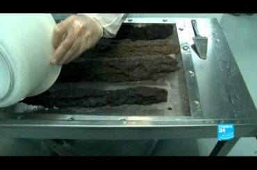 12/22/2012 LIFESTYLE