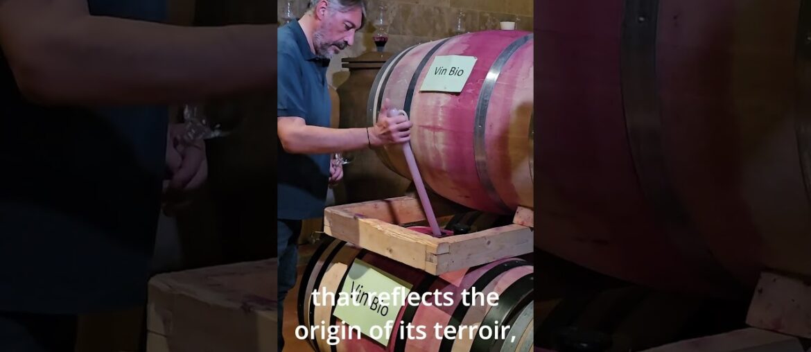 Embracing Lebanon’s Terroir: A Wine Journey #wine #lebanon #trailer Embracing Lebanon's Terroir: A Wine Journey #wine #lebanon #trailer