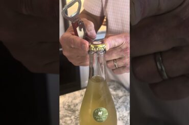 Pet Nat 100% Alsace Riesling from Charming Strasbourg France