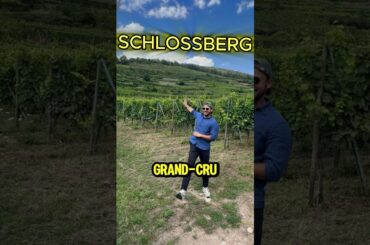 Stepping into the heritage of Alsace at the breathtaking Grand Cru Schlossberg. #shorts  #indian