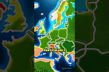 Chervil: The Hidden Gem of French Cuisine