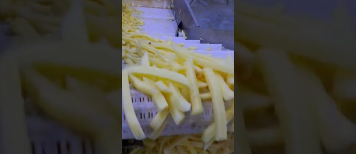 Making French fries in factory