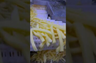 Making French fries in factory
