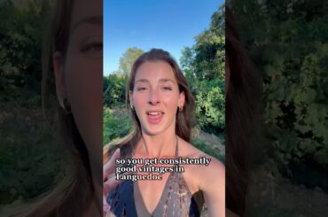 Rundown of Languedoc wines! #wineislife #wine #frenchwine #languedoc #shorts #fyp