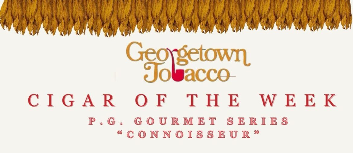 Cigar of the Week: P.G. Gourmet Series Connoisseur Cigar of the Week: P.G. Gourmet Series Connoisseur