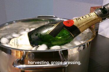 Exploring French Champagne:A Symbol of Luxury and Elegance 3/@Magiofamouswine.