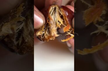 Weight gain smoothie Asmr  #viral #food #Asmr #weightGain