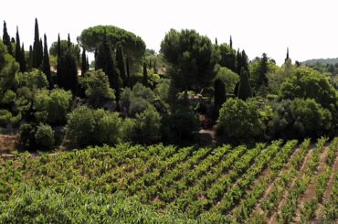 Celebrity Cruises - France Wine Tours