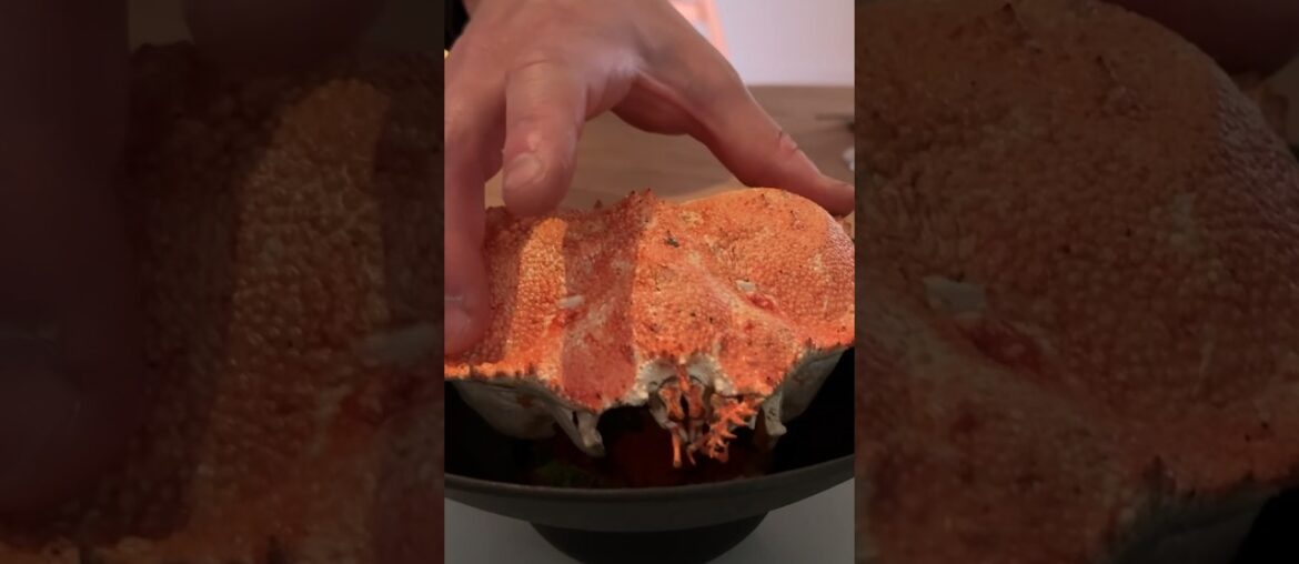 Everything I Ate at 1-Michelin Star SSAL #foodie #michelinstar Everything I Ate at 1-Michelin Star SSAL #foodie #michelinstar