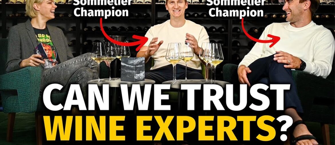 Wine Pros Debate: Are WINE EXPERTS Necessary & Can We Trust Their Opinions?