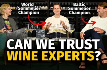Wine Pros Debate: Are WINE EXPERTS Necessary & Can We Trust Their Opinions?