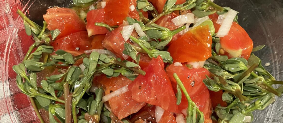 Salade de pourpier
