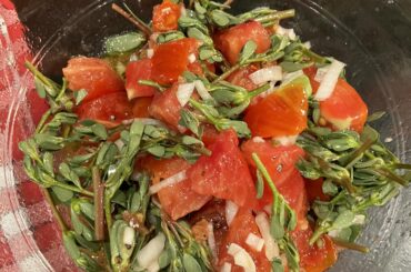Salade de pourpier