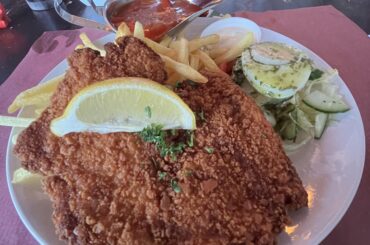 Schnitzel Stroganoff