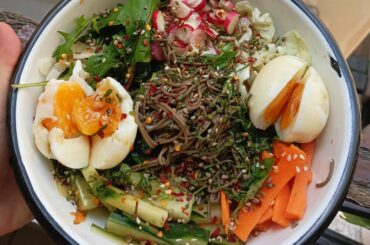 Salade de nouilles soba