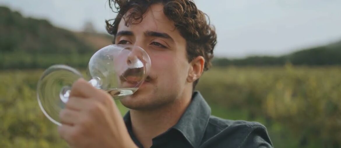 Discovering Corsica Wine Region: The Mediterranean Island of Diverse Wines