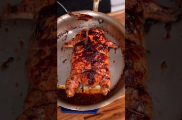 CHIBORKEN Is the Next Big Thing!