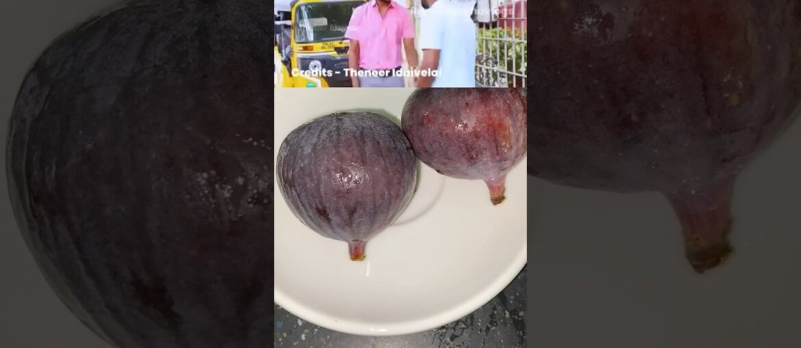 Fig Milkshake| Athi Juice @kajisminisamayal8609 #milkshake #juice #healthydrinks #france #recipe