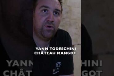 What makes Bordeaux red wine CHEAP vs EXPENSIVE? #shorts