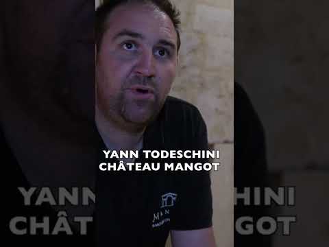 What makes Bordeaux red wine CHEAP vs EXPENSIVE? #shorts What makes Bordeaux red wine CHEAP vs EXPENSIVE? #shorts