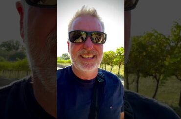 Eating vineyard grapes grown for wine???