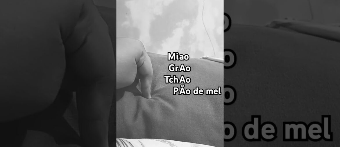 French wine bottle in a different language