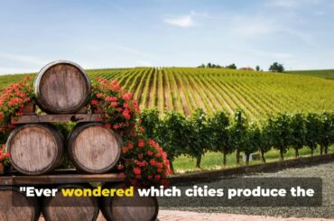 TOP 5 RED WINE CITIES IN THE WORLD. August 10, 2024.