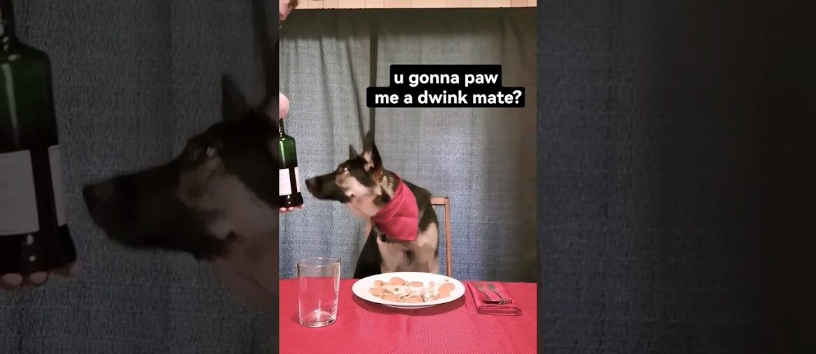 Fine Dining with Emma | Episode 01 #shorts