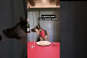 Fine Dining with Emma | Episode 01 #shorts