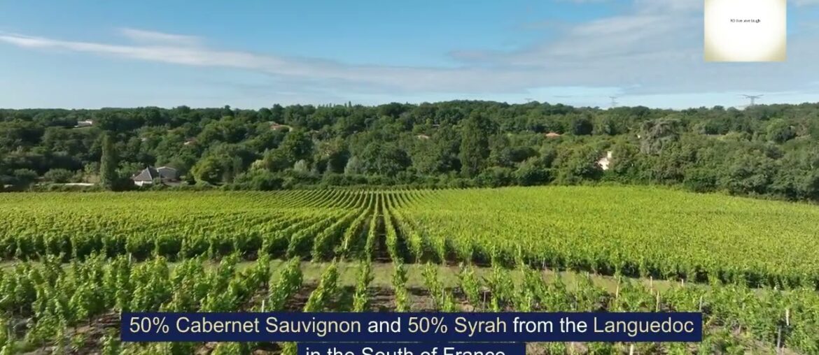 Deal of the day Cabernet wine