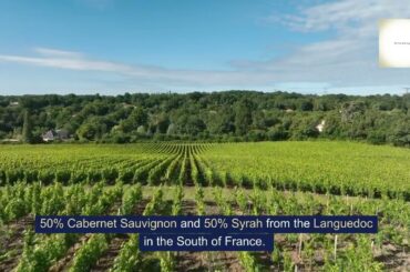 Deal of the day Cabernet wine