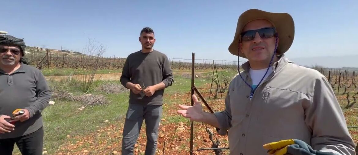 Makmel Wine: From the Terroir of Deir el Ahmar, Lebanon (Watch the Full Documentary) Makmel Wine: From the Terroir of Deir el Ahmar, Lebanon (Watch the Full Documentary)