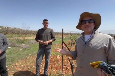 Makmel Wine: From the Terroir of Deir el Ahmar, Lebanon (Watch the Full Documentary)