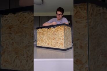 This guy broke the world record for eating French Fries (@wollywhatthe)