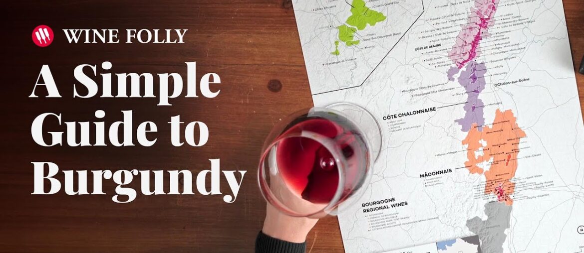 Wine Folly Guide to Burgundy Wine Folly Guide to Burgundy