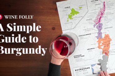 Wine Folly Guide to Burgundy